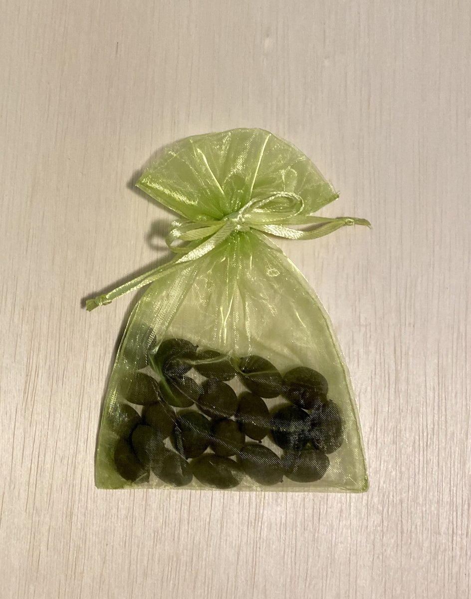 lotus plant seeds price 2026 AAA LOTUS SEEDS (Random UNKNOWN Hybrids)-SHIP IMMEDIATELY – Ten Mile  Creek Nursery